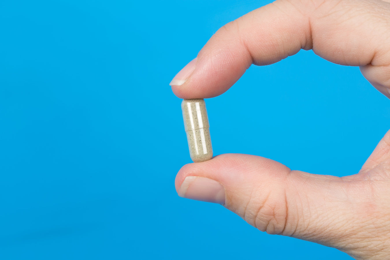 Digestive & Gut Health System