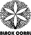 Black Coral Wellness premium dietary supplements brand logo